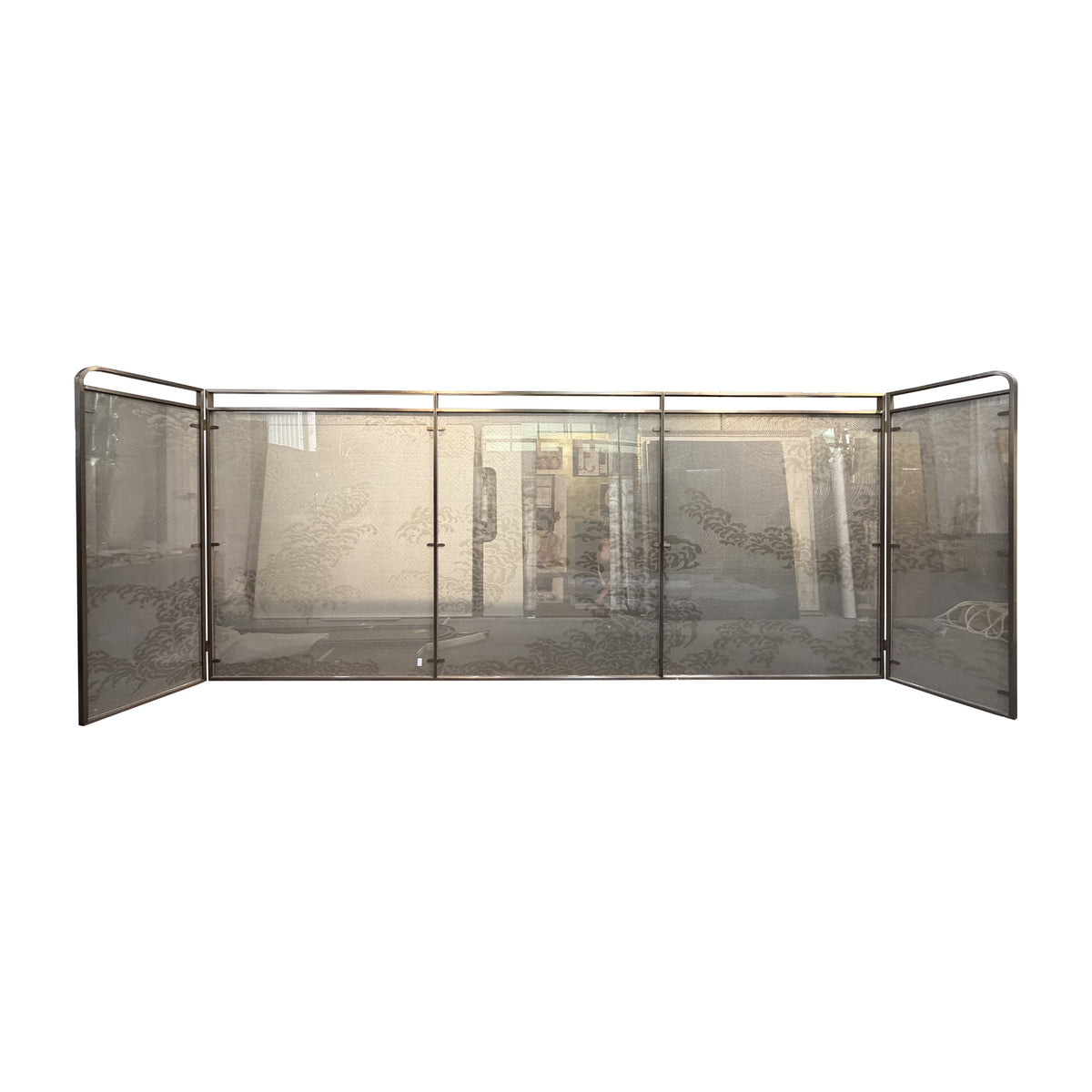 Modern Luxury-Glass screen with metal wire