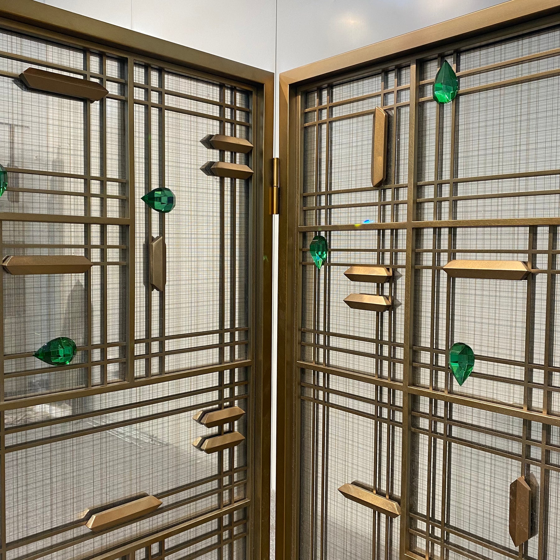 Modern Luxury-Glass screen with wire mesh