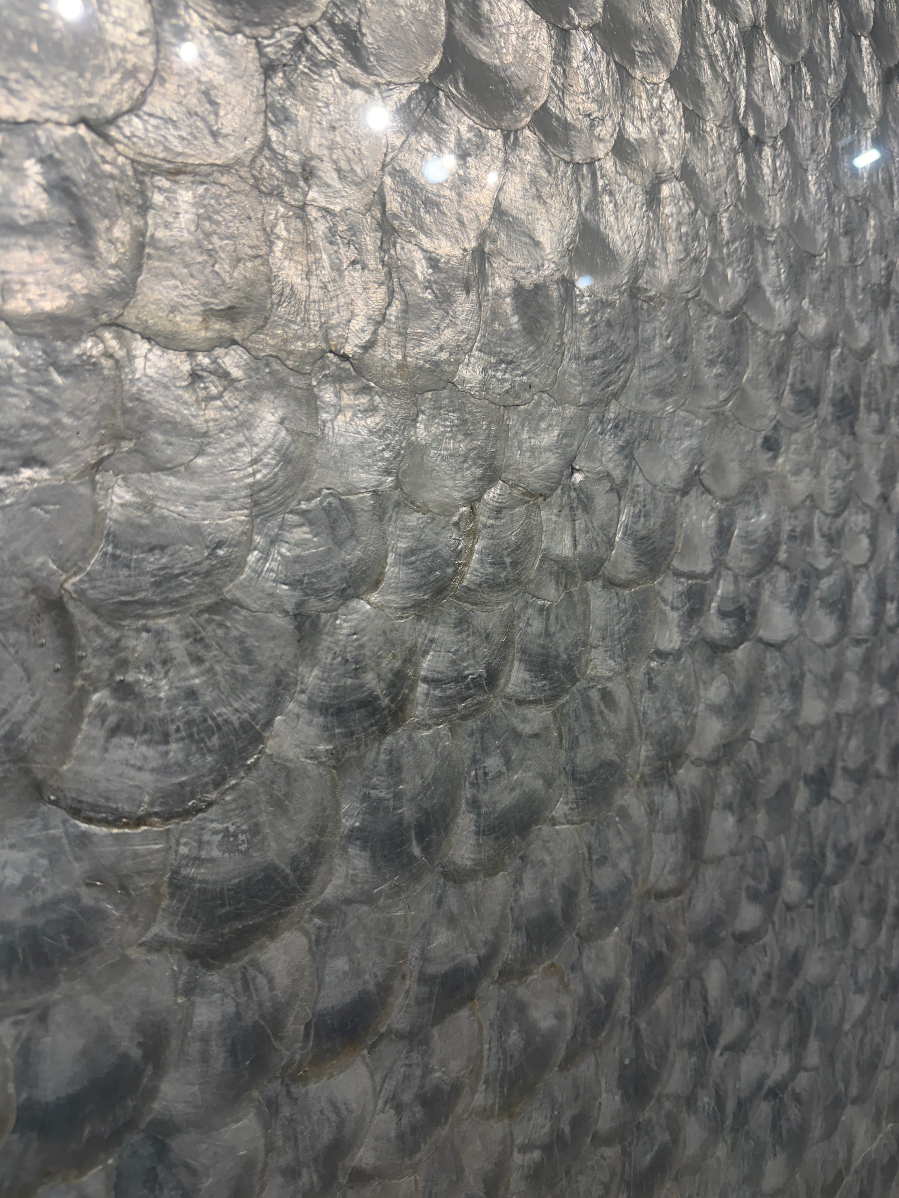 Modern Chinese Natural Shell Screen