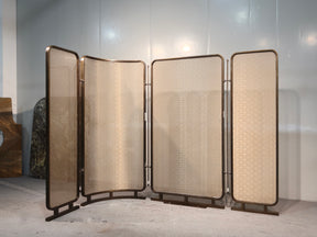 Modern Luxury-Glass screen with metal wire