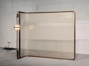 Modern Luxury- glass with metal wire screen
