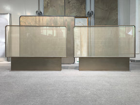 Modern Luxury- glass with metal wire screen